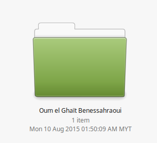 Oum el Ghaït green folder
